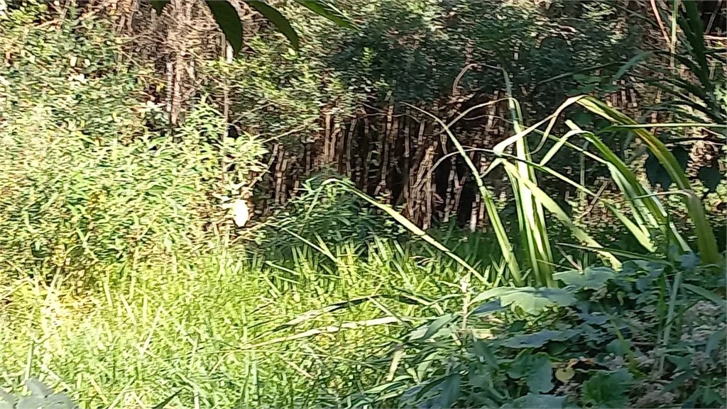 Terreno à venda em Vila Tramontano, São Paulo, SP