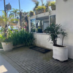 Apartamento Residencial à venda, Aparecida, Santos - AP0537.