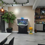 Apartamento à venda com 3 quartos, sendo 1 suíte, em Cambuci, São Paulo, SP