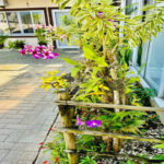 Juquey Sobrado em Villagio