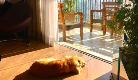 Apartamento à venda com 3 suítes em Mooca, São Paulo, SP