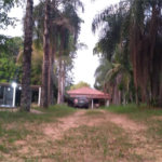 Chácara para venda no Aracê de Santo Antonio I
