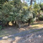 Casa com Piscina, Sauna e Edícula em Rua Arborizada no Tremembé