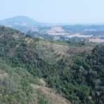 FAZENDA FORTALEZA, Caldas - MG
