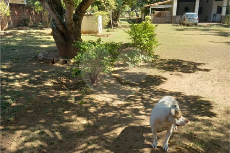 Chacará á venda no Aracê Santo Antonio.