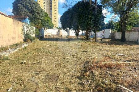 Terreno 784m² proximo à Santa Casa e a USP - Investimento