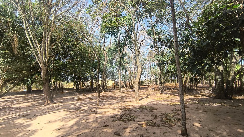 Chácara dos Sonhos à Venda – São Carlos/SP – Recreio Campestre