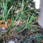 Terreno no Jardim Beatriz.