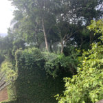 Casa à venda com 2 quartos em Serra da Cantareira, Mairiporã, SP