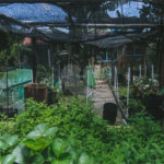 Casa à venda com 3 quartos, sendo 1 suíte, no condomínio Parque da Fazenda, Itatiba - SP