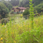 Chácara à venda em Sorocamirim (canguera), São Roque, SP