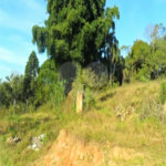 Terreno à venda em Cocuera, Mogi das Cruzes, SP