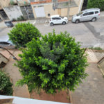 Casa à venda com 3 suítes em Vila Jardini, Sorocaba, SP