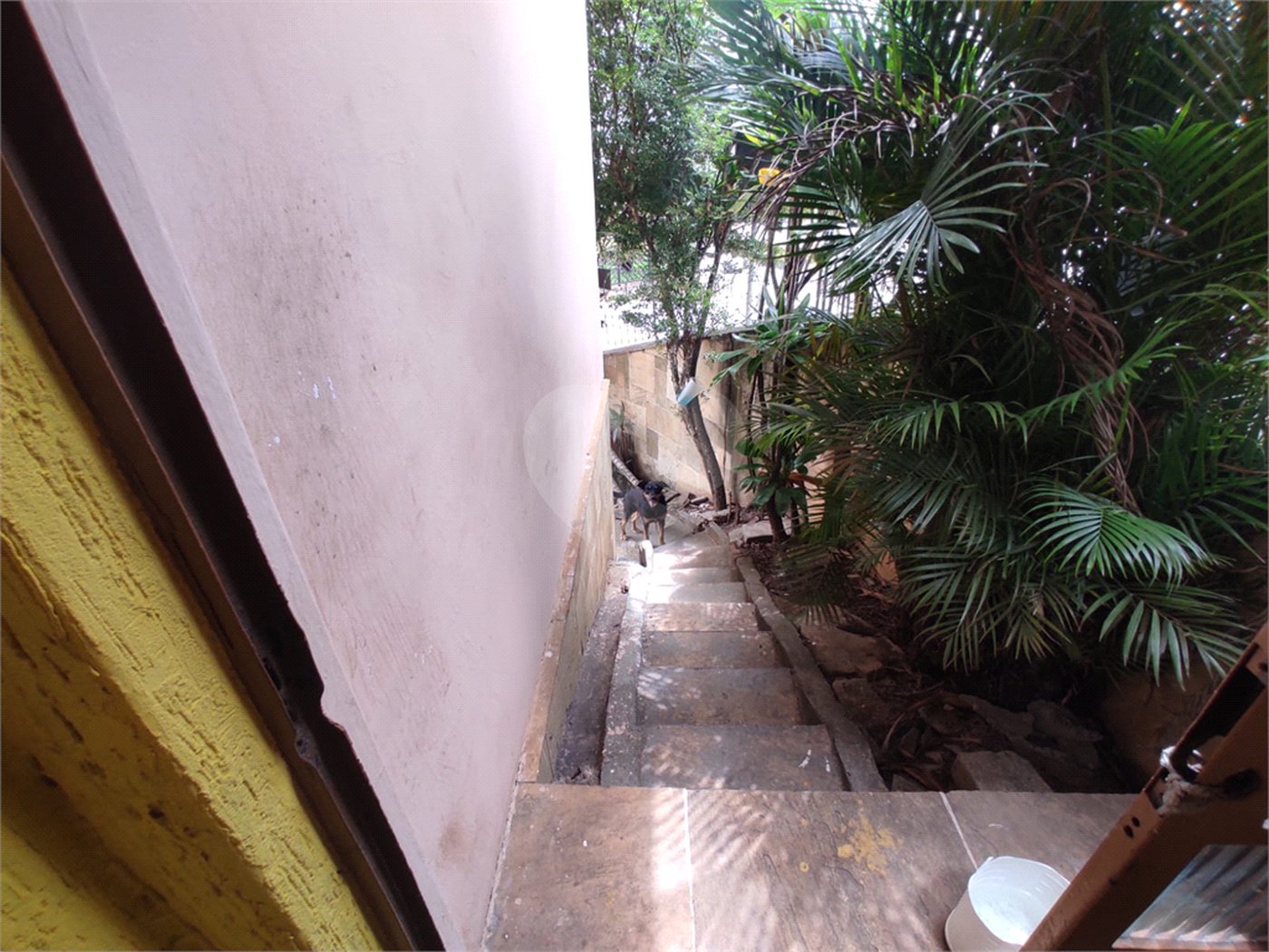 Casa à venda com 4 quartos, sendo 1 suíte, em Vila Galvão, Guarulhos, SP