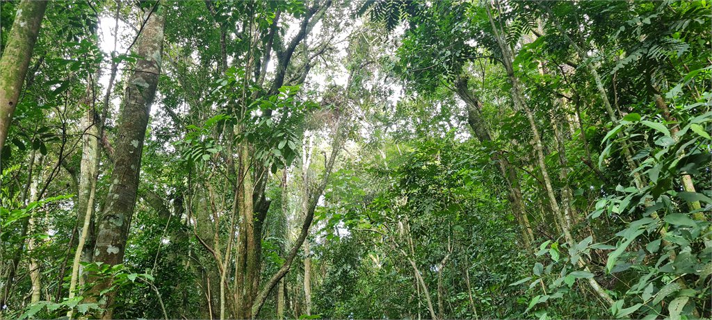 Terreno à venda em Caraguatá, Mairiporã, SP