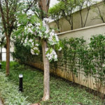 Apartamento à venda com 3 quartos, sendo 2 suítes, em Pinheiros, São Paulo, SP