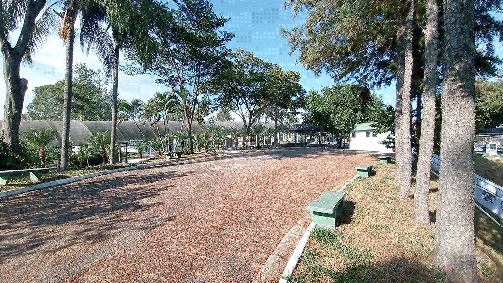 Terreno à venda em Parque Terra Nova, Valinhos, SP