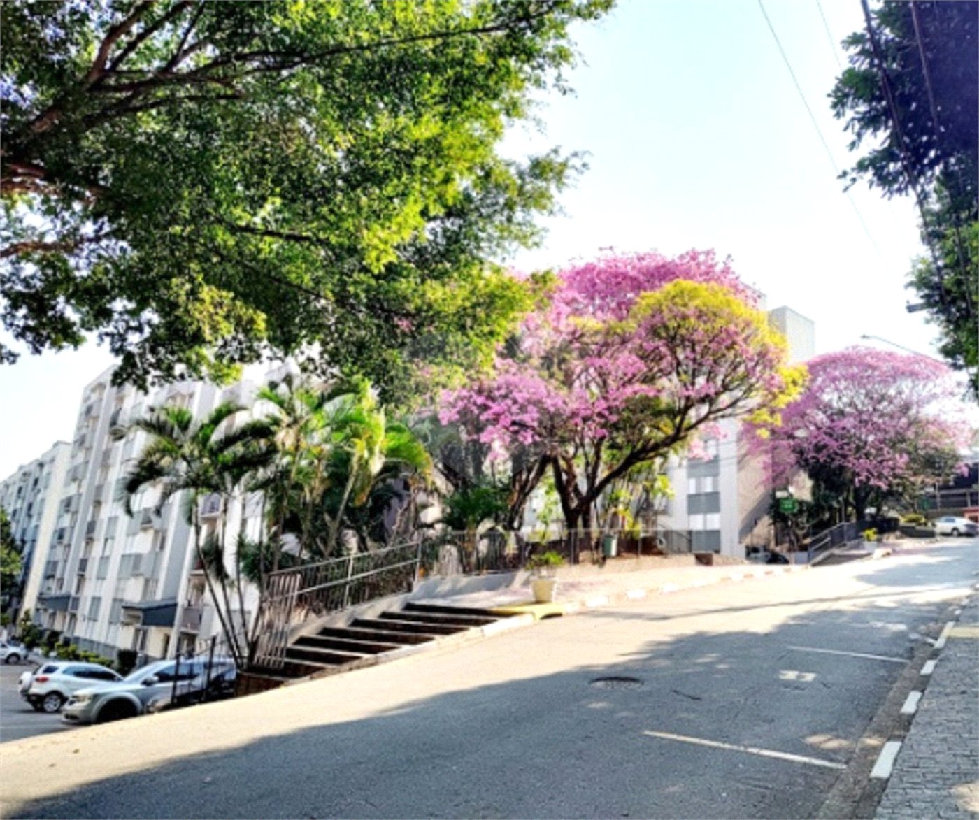 Apartamento à venda com 2 quartos em Jardim Santa Mônica, São Paulo, SP