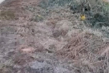Terreno a venda no Jardim Medeiros