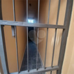 Sobrado à venda com 4 quartos em Vila Maria Alta, São Paulo, SP