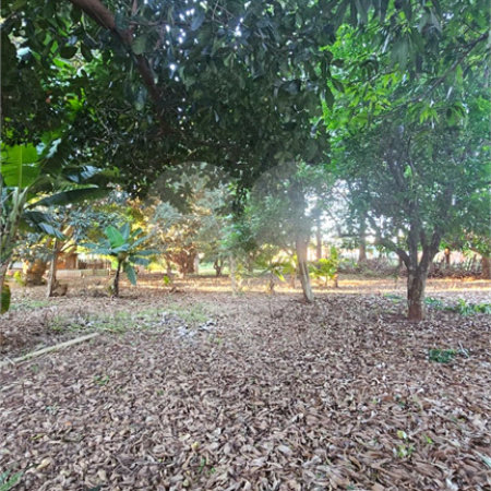 Terreno à venda em Jardim dos Estados, Ponta Porã, MS