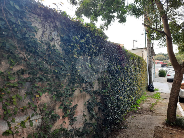 Terreno à venda em Chácara Monte Alegre, São Paulo, SP