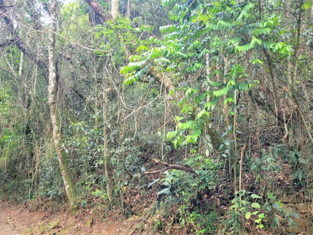 Terreno à venda em Serra da Cantareira, Mairiporã, SP