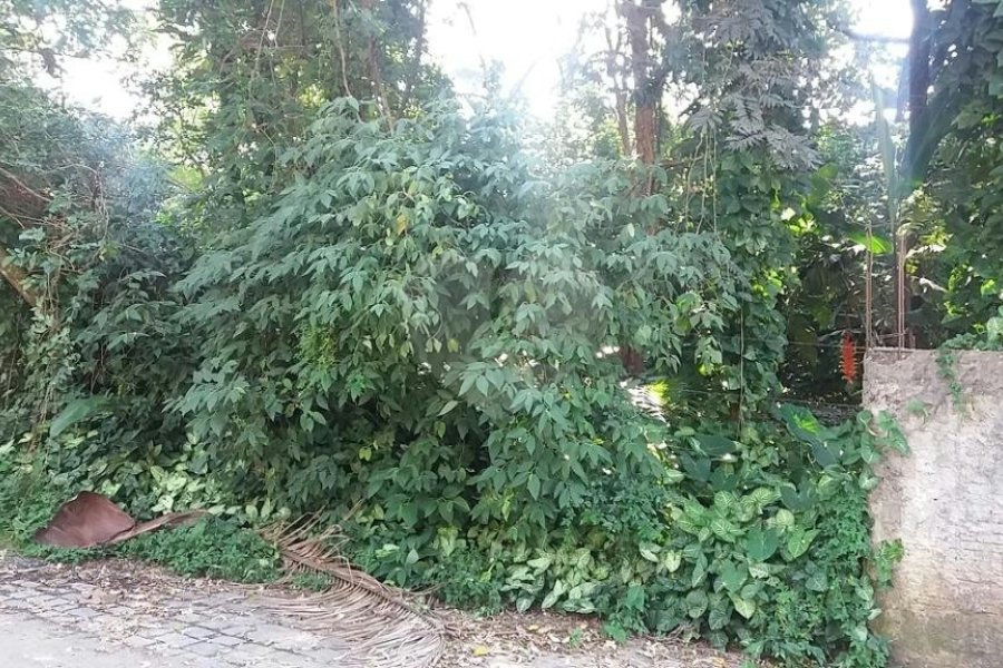 Terreno à venda em Tremembé, São Paulo, SP