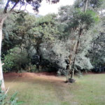 Sobrado à venda ou para alugar com 3 suítes em Serra da Cantareira, Mairiporã, SP