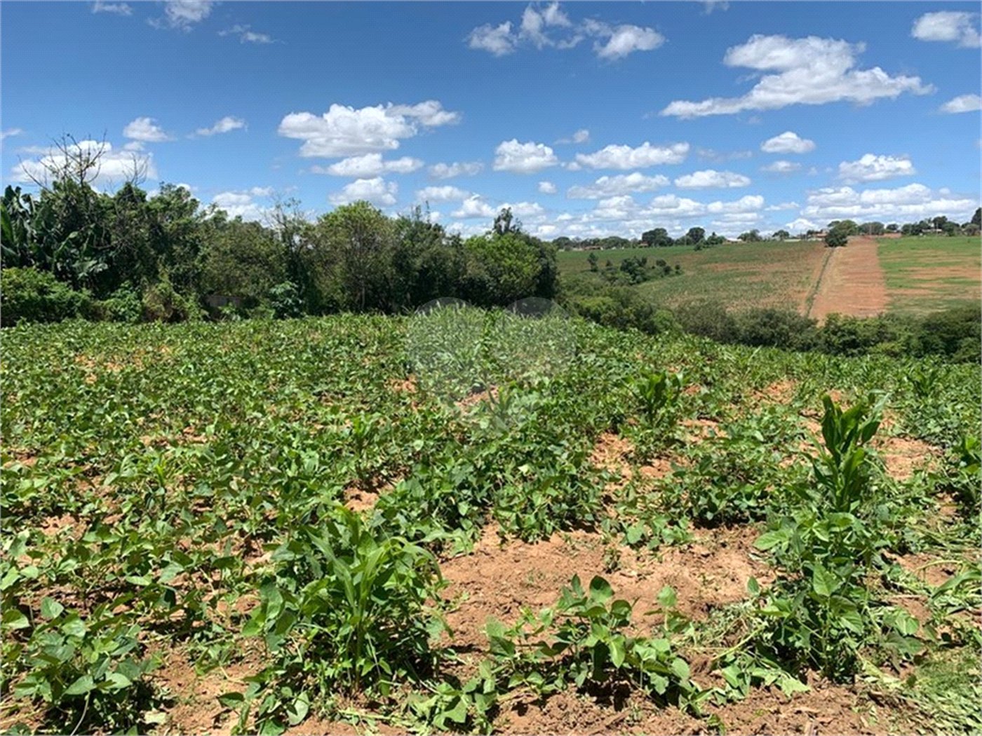 Área de Terra à venda em Cristóvão, Araçoiaba da Serra, SP
