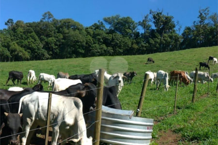 Sítio à venda com 5 quartos, sendo 1 suíte,  em Área Rural de Tapiraí, Tapiraí, SP