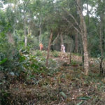 Terreno à venda em Serra da Cantareira, Mairiporã, SP