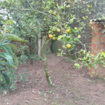 Chácara à venda com 2 quartos em Estância Marília, Jarinu, SP