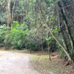 Terreno à venda em Serra da Cantareira, Mairiporã, SP