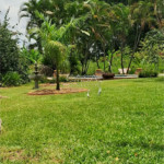Chácara à venda com 4 quartos, sendo 1 suíte, em Zona Rural, Porangaba, SP
