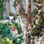 Sobrado à venda com 3 quartos, sendo 1 suíte, em Vila Nova Mazzei, São Paulo, SP