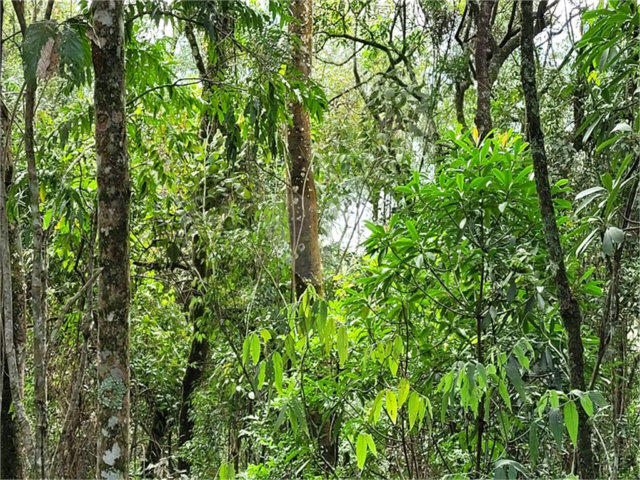 Terreno à venda em Serra da Cantareira, Mairiporã, SP