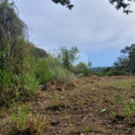 Terreno à venda em Barreiro, Mairiporã, SP