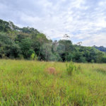 Terreno à venda em Residencial Reserva da Mata, Itapetininga, SP