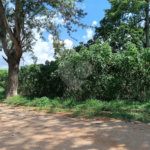 Terreno à venda no Centro (mailasqui), São Roque, SP