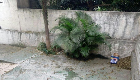 Casa à venda com 2 quartos em Tucuruvi, São Paulo, SP