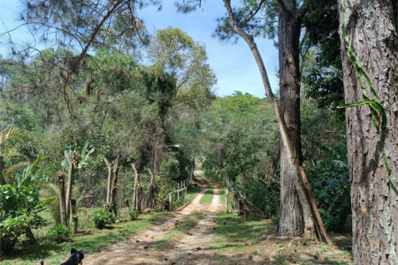 Chácara à venda com 5 quartos, sendo 3 suítes, em Vila Darcy Penteado (mailasqui), São Roque, SP