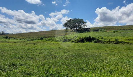 Terreno à venda em Vitória Régia, Atibaia, SP