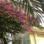 Casa à venda com 5 quartos, sendo 4 suítes, no condomínio Jardim Vitória Régia, São Paulo - SP