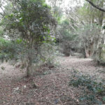 Terreno à venda em Chácaras Fernão Dias, Atibaia, SP