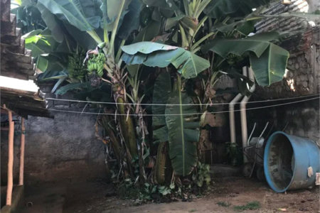 Terreno à venda em Jardim Iracema, São Paulo, SP