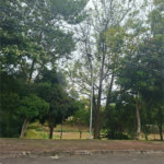 Terreno à venda em Jardim Europa II, Indaiatuba, SP