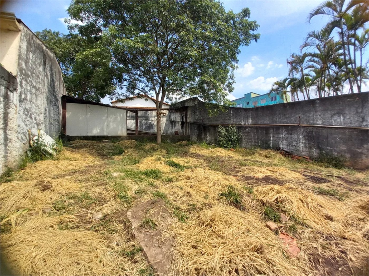 Casa Térrea à venda com 5 suítes em Vila Lageado, São Paulo, SP