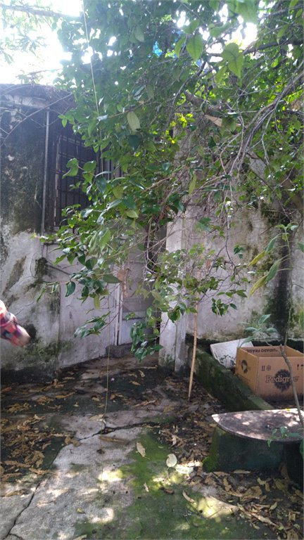 Casa Térrea à venda com 3 quartos em Vila Lúcia, São Paulo, SP