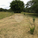 Fazenda à venda com 3 quartos em Cachoeirinha, Bom Jesus dos Perdões, SP
